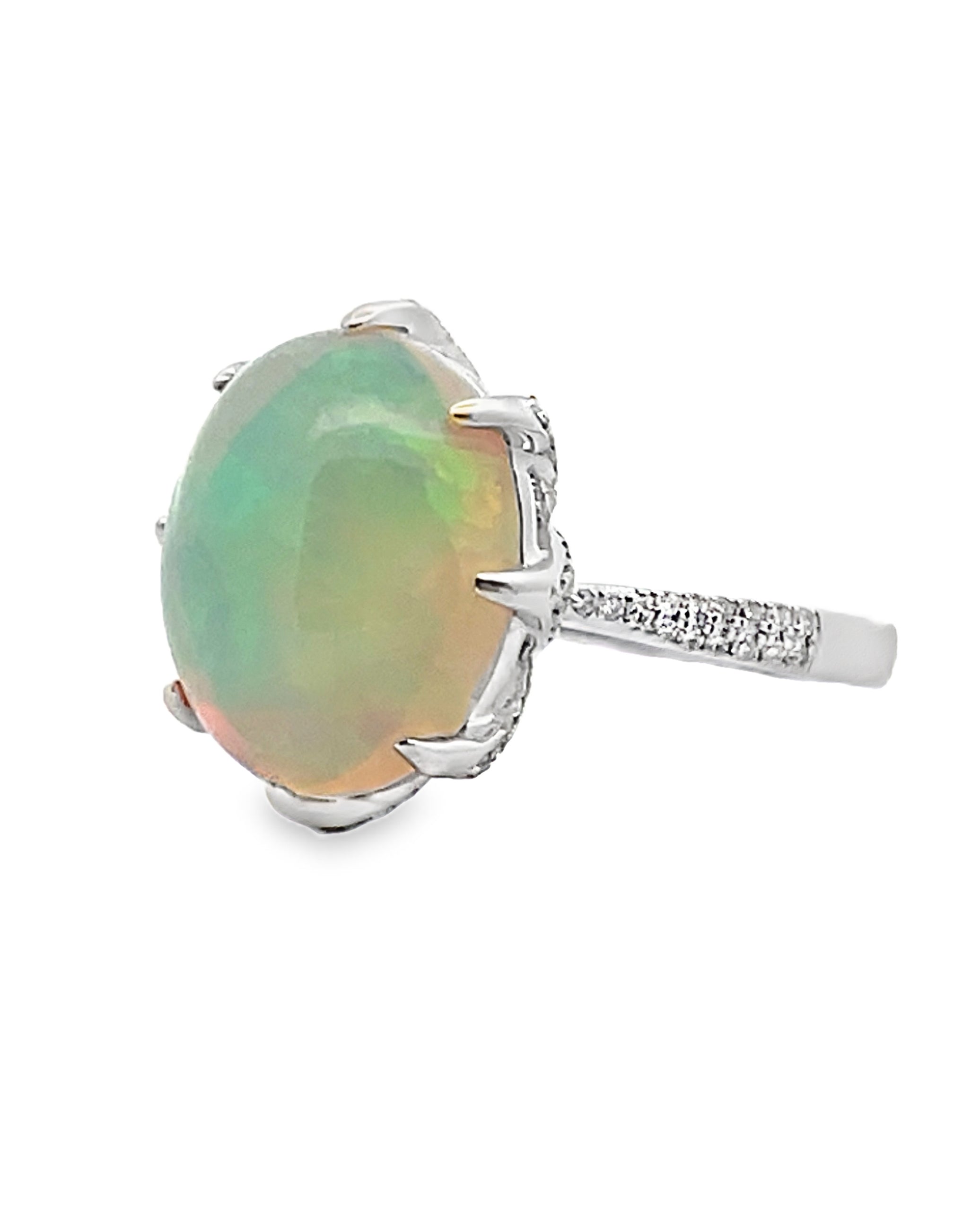 Oval Shaped Opal Ring Prong Set in 14K White Gold