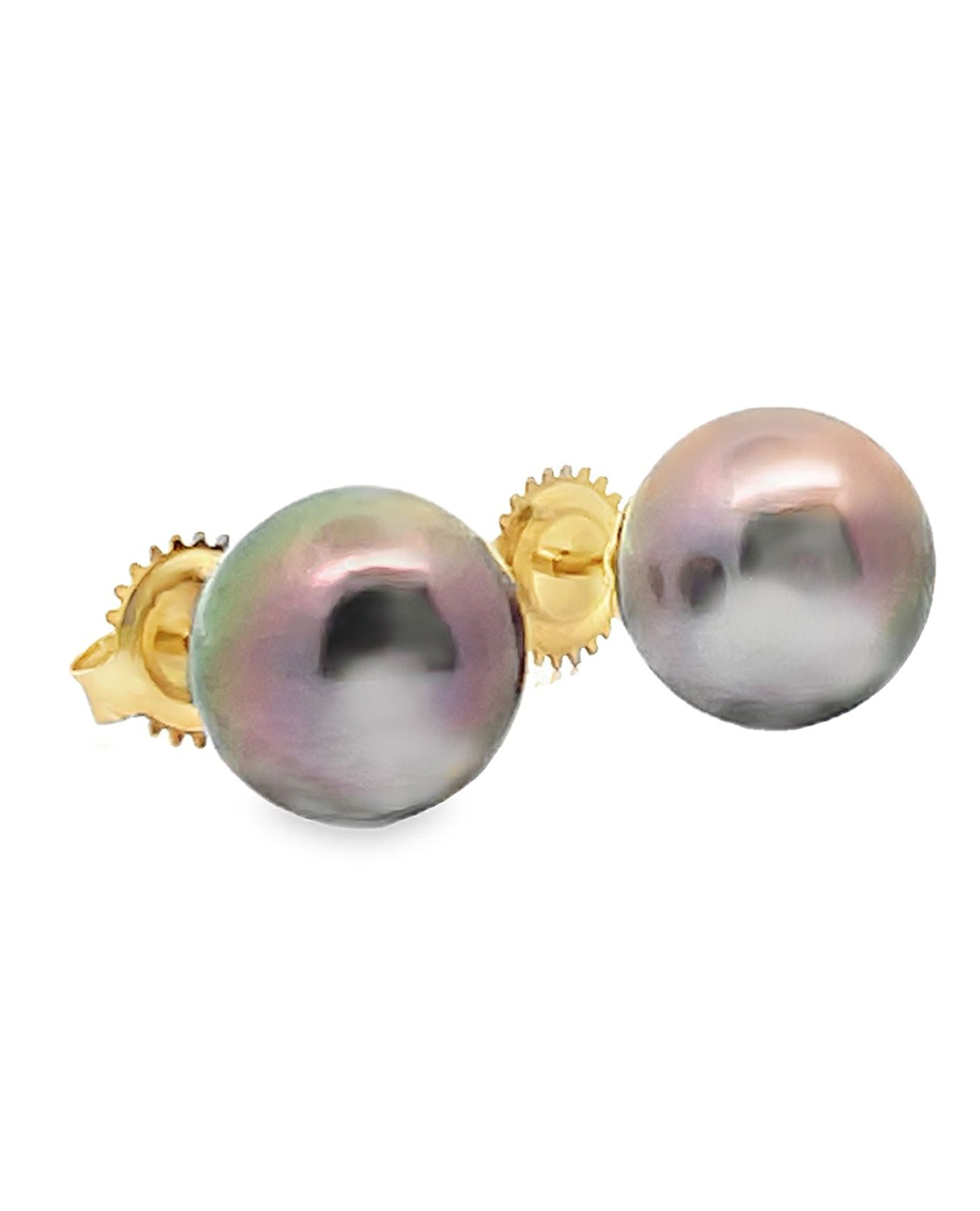 14K Yellow Gold 10mm Tahitian Pearl Stud Earrings with Pushbacks