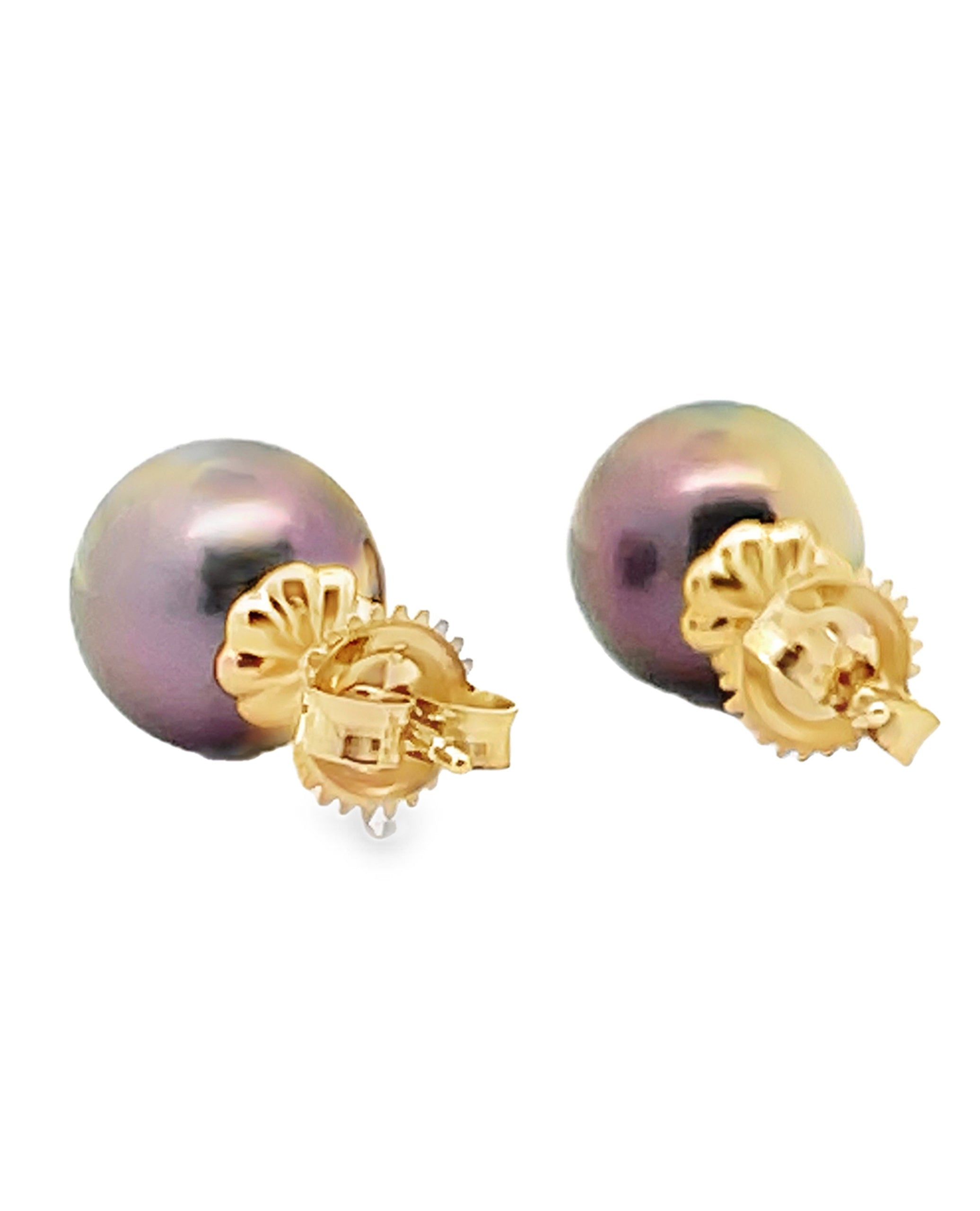 14K Yellow Gold 10mm Tahitian Pearl Stud Earrings with Pushbacks