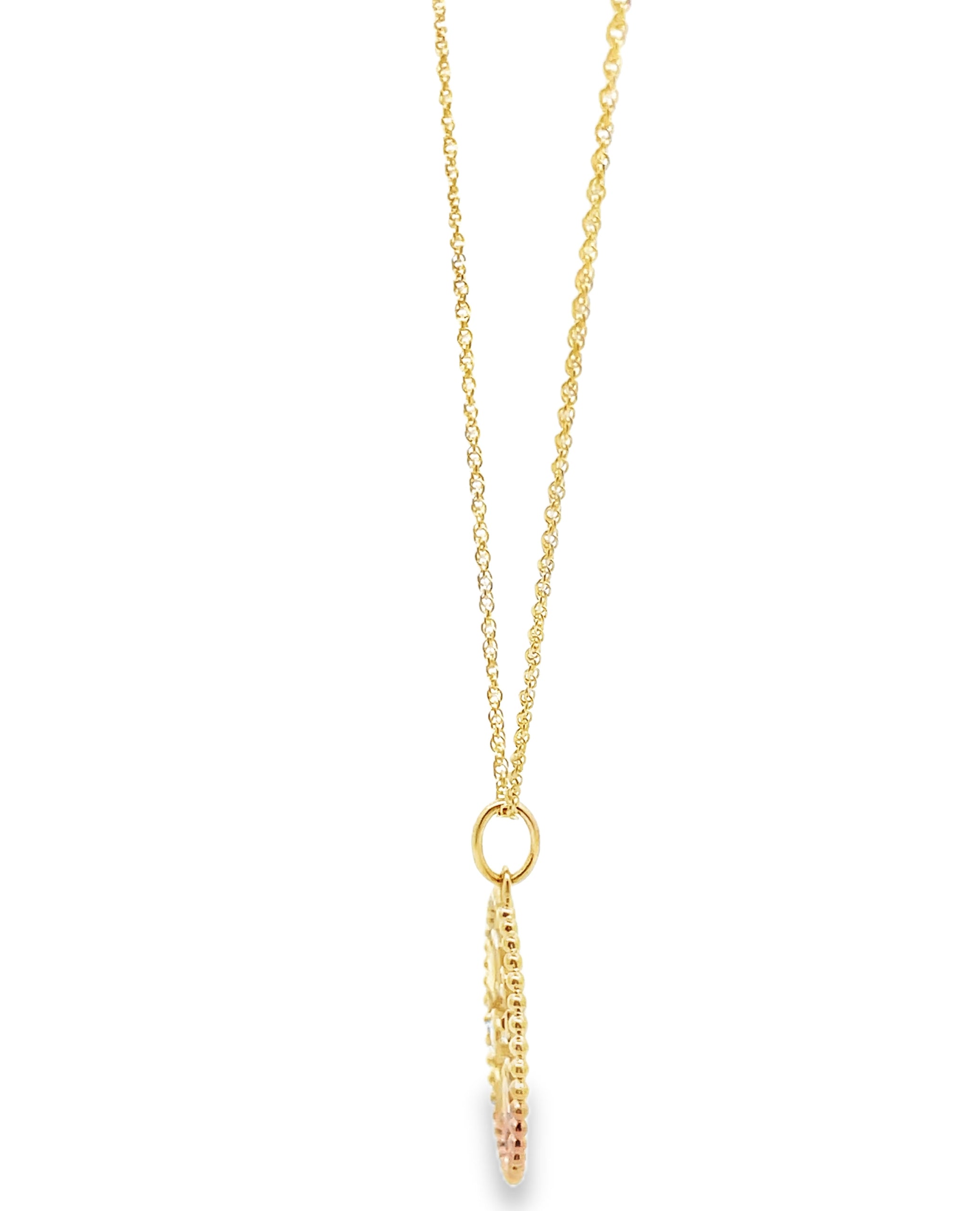 Allison Kaufman 14K Yellow Gold Sliding Round Pendant Geometric Necklace with Diamonds