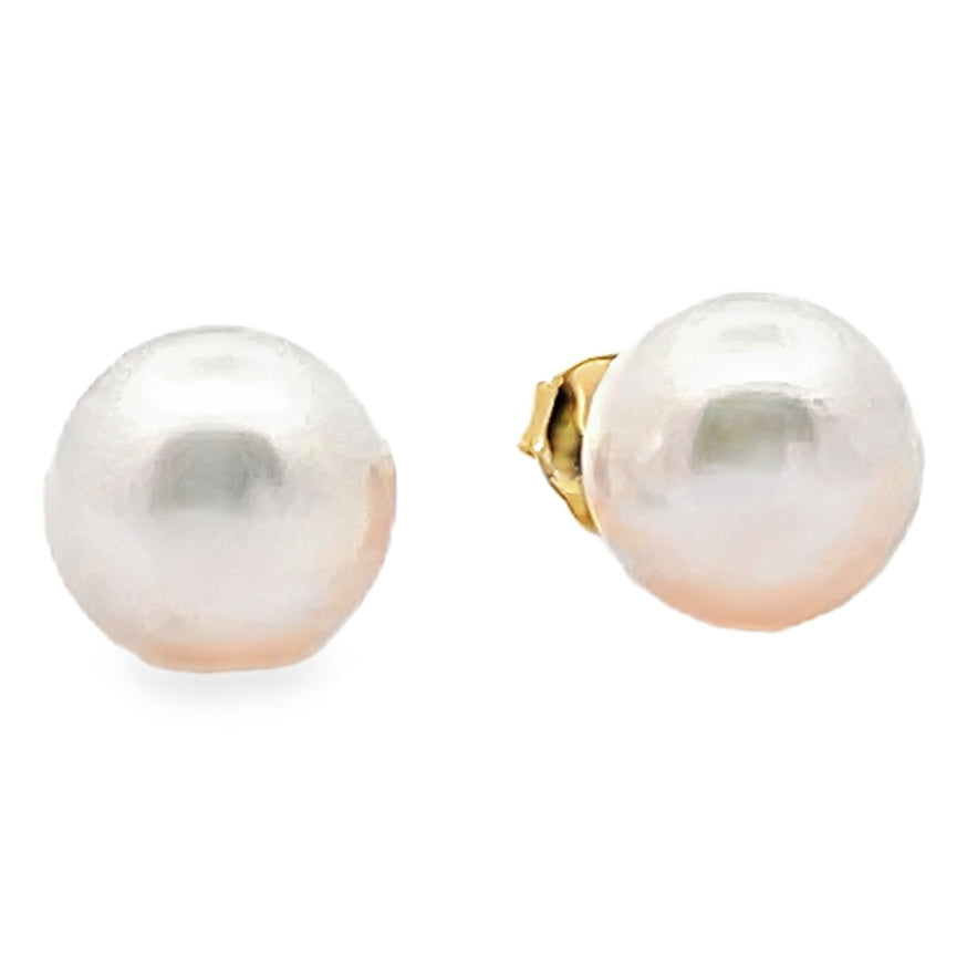 14K Yellow Gold 8.0mm Akoya Pearl Stud Earrings with Pushbacks