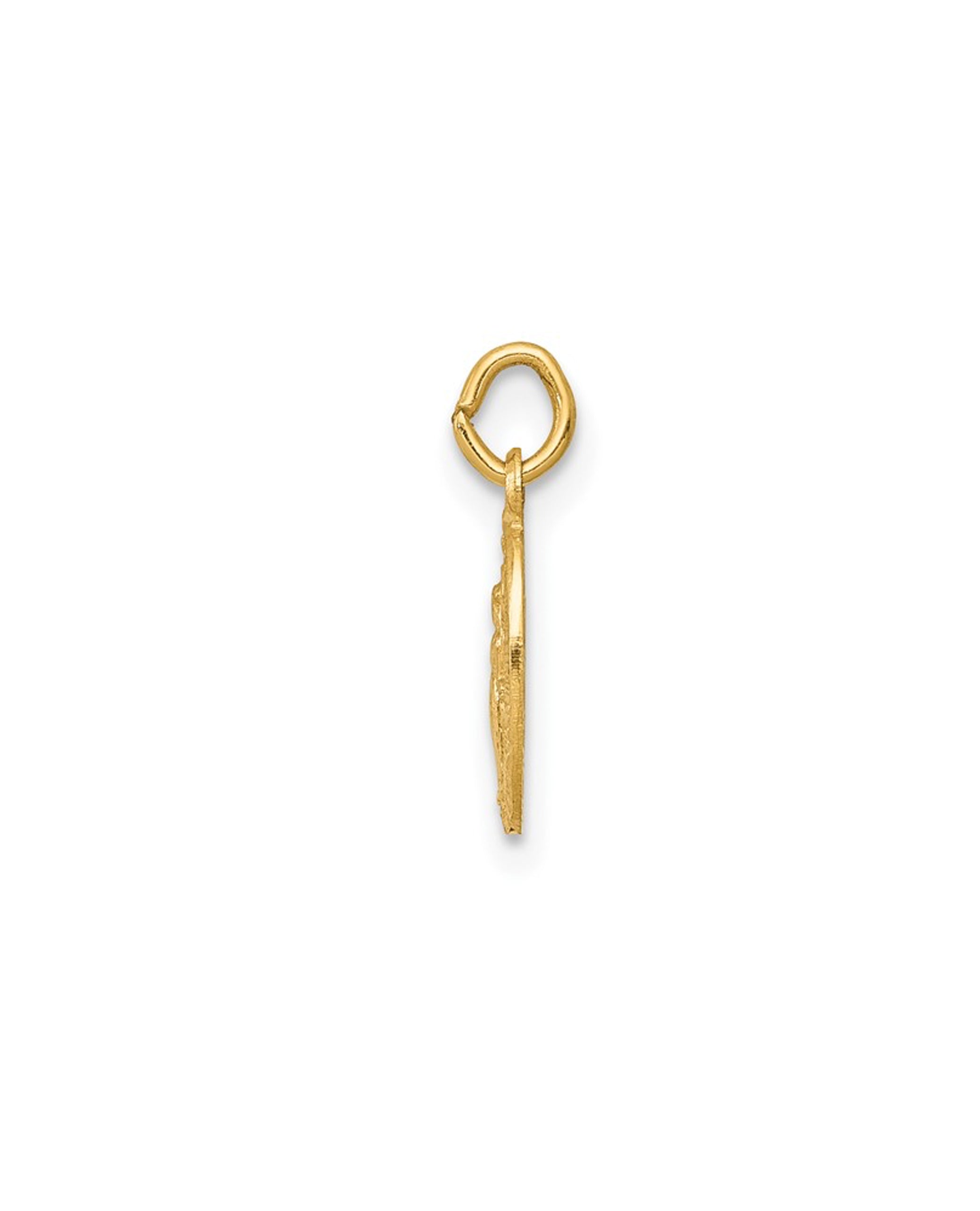 14K Yellow Gold Small Miraculous Medal Charm