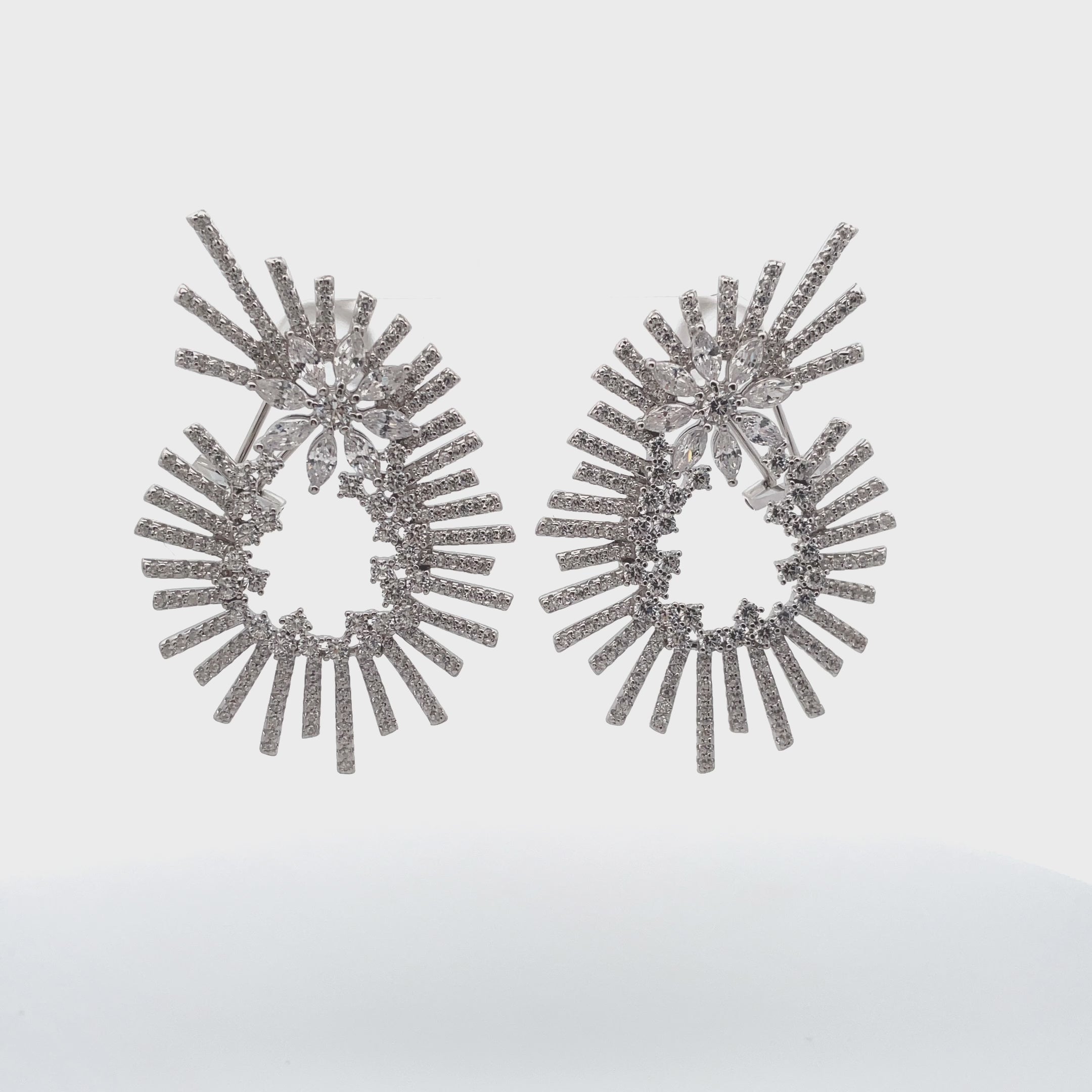 Sterling Silver Large Fashion Earrings