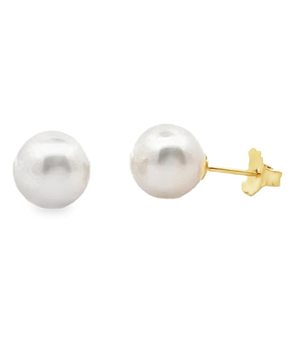 14K Yellow Gold 8.5mm Akoya Pearl Stud Earrings with Pushbacks