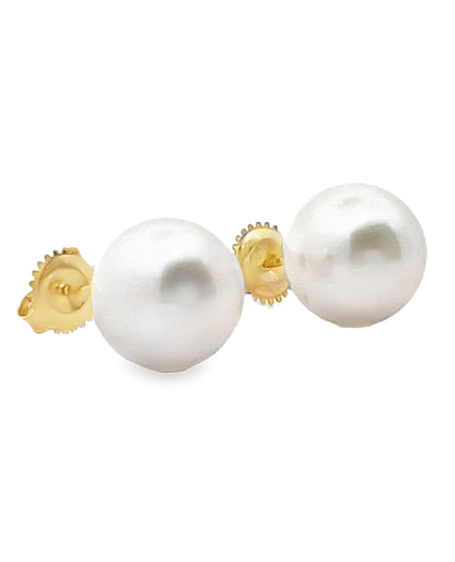 14K Yellow Gold 11mm South Sea Pearl Stud Earrings with Pushbacks