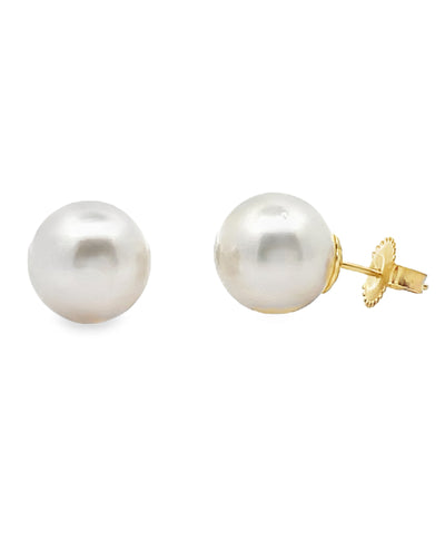 14K Yellow Gold 11mm South Sea Pearl Stud Earrings with Pushbacks