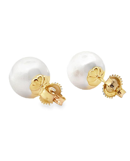 14K Yellow Gold 11mm South Sea Pearl Stud Earrings with Pushbacks