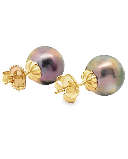 14K Yellow Gold 10mm Tahitian Pearl Stud Earrings with Pushbacks