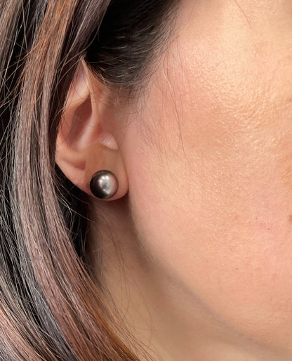 14K Yellow Gold 10mm Tahitian Pearl Stud Earrings with Pushbacks