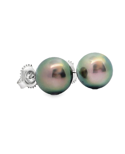 14K White Gold 10mm Tahitian Pearl Stud Earrings with Pushbacks