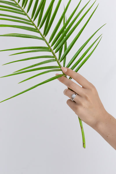 Tacori 2620 RDMD Dantela Platinum Engagement Ring Setting