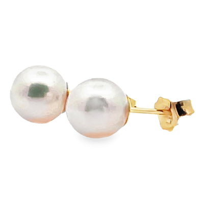 14K Yellow Gold 7mm Akoya Pearl Stud Earrings with Pushbacks