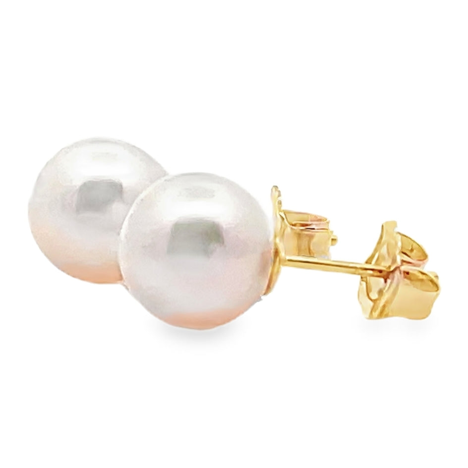 14K Yellow Gold 8.0mm Akoya Pearl Stud Earrings with Pushbacks
