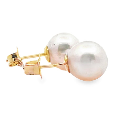 14K Yellow Gold 8.0mm Akoya Pearl Stud Earrings with Pushbacks
