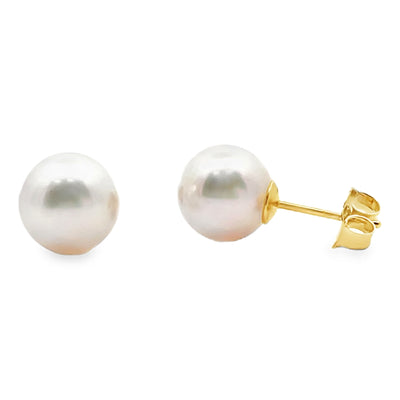 14K Yellow Gold 8.0mm Akoya Pearl Stud Earrings with Pushbacks
