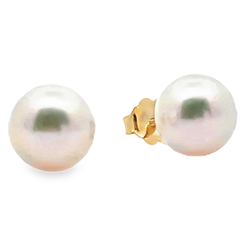 14K Yellow Gold 8.5mm Akoya Pearl Stud Earrings with Pushbacks