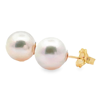 14K Yellow Gold 8.5mm Akoya Pearl Stud Earrings with Pushbacks